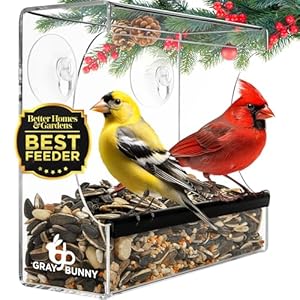 Gray Bunny Clear Window Bird Feeder – Window Bird Feeders for Outside, Window Bird Feeders for Viewing with Strong Suction Cup, Transparent Bird Feeder for Window, Bird House Gifts for Mom, Dad