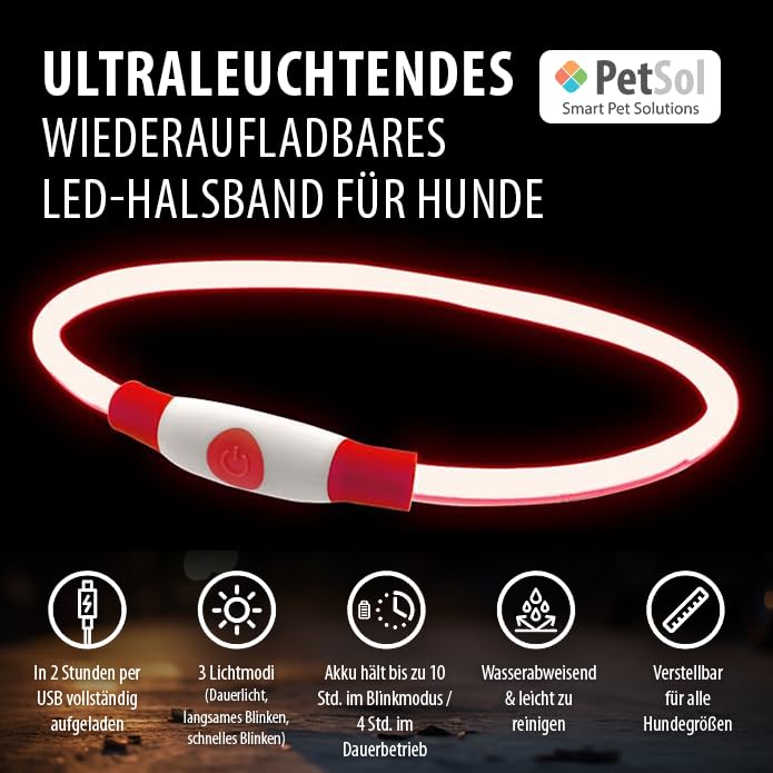 PetSol LED-Hundehalsband in Rot – wiederaufladbares USB-Sicherheitshalsband mit blinkendem Licht für Hunde, Katzen und Welpen – Größe S, M und L – modisches, im Dunkeln leuchtendes Design