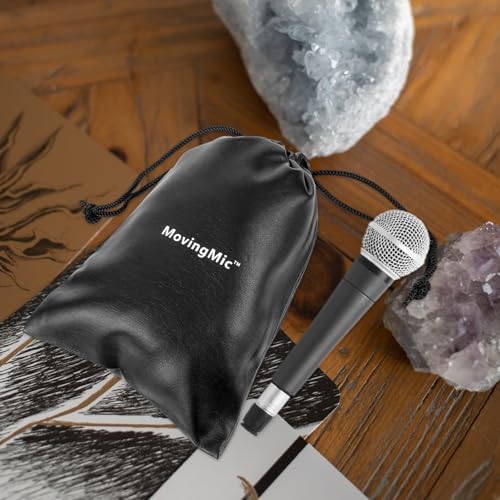 TOYANDONA 4 Pcs Portador De Microfone Bolsa De Microfone Para Academia Caso De Armazenamento De Micr