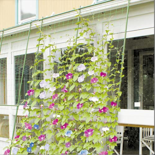 Plant Trellis Netting For Climbing Plants Outdoor Heavy-Duty Growing Net Garden Trellis Netting For Vine Plants, Fruits, And Flowers, Vegetables Trellis Netting Plant Climbing Plant Support(2.9X5.9Ft) #TOP6