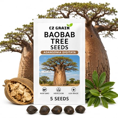 CZ GRAIN Exotic Tree Seeds for Planting (Baobab - 5 Seeds)