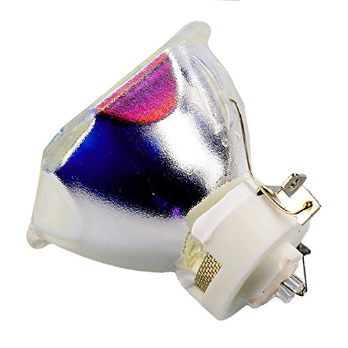 OEM 22040013 Projector Lamp & Housing For Eiki Projectors - Includes Philips Bulb With 240-Day Warranty