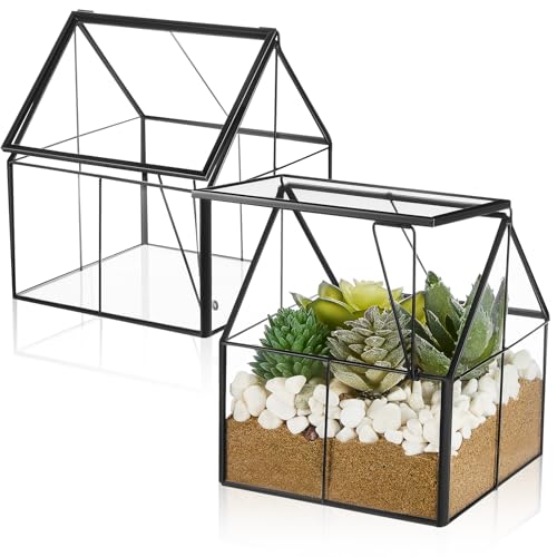 2 Pcs Mini Glass Terrarium Planter with Lid 5 x
