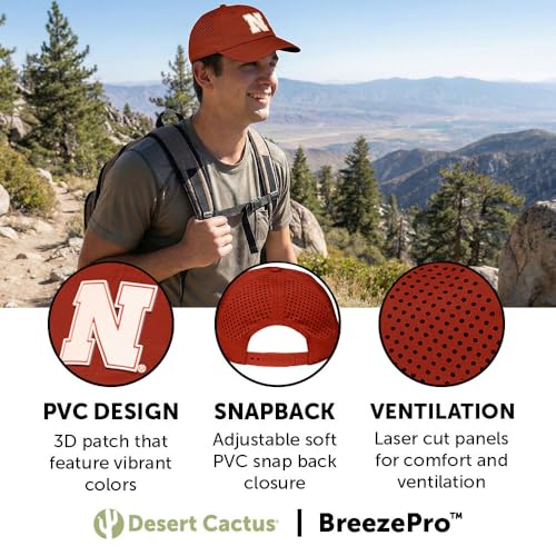 Desert Cactus Nebraska Gorra Snapback miniatura 3