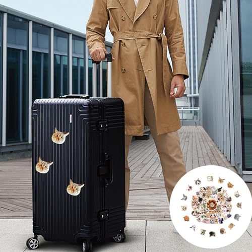 Adesivos Anime, adesivos de gato Kawaii - Decalques para gatinhos à prova d'água - Adesivos de gato