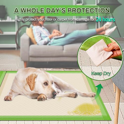 Gardner-Pet-Pee-Pads-for-Dogs-Extra-Large-28×34-XL-Thicker-ECO-Green-Disposable-Xlarge-Puppy-Training-Pads-Super-Absorbent-Full-Edge-Wrapping-Pad-for-Dogs-Puppies-Doggie-Cats-Rabbits-30-Count Gardner Pet Pee Pads for Dogs Extra Large 28×34 XL Thicker ECO Green Disposable Xlarge Puppy Training Pads Super Absorbent Full Edge Wrapping Pad for Dogs Puppies Doggie Cats Rabbits 30 Count