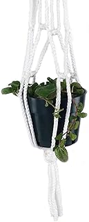 Primitive Planters 30