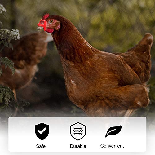 Yardwe Peepers 41Pcs Pinless Com Um Alicate Antolhos Óculos de Frango Frango Pinless Peepers Óculos