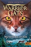  Warrior Cats - Vision von Schatten. Wütender Sturm: Staffel VI, Band 6