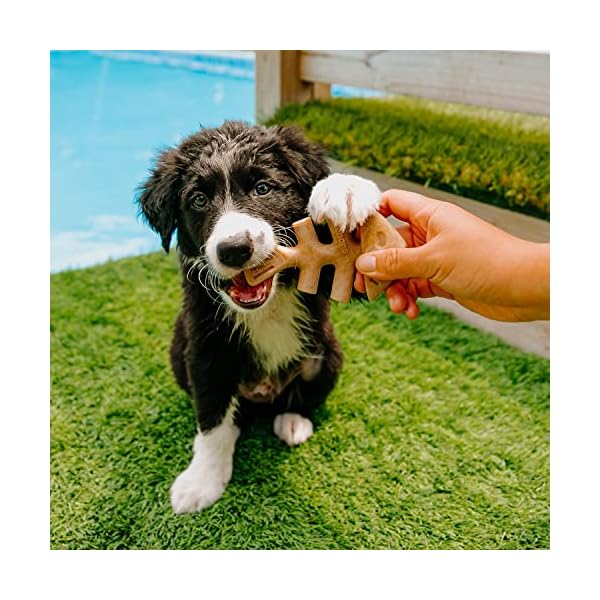 Benebone Holiday 4-Pack Durable Dog Chew Toys for Aggressive Chewers, Real Flavors, Made in USA, Puppy Benebone Holiday 4-Pack Durable Dog Chew Toys for Aggressive Chewers, Real Flavors, Made in USA, Puppy