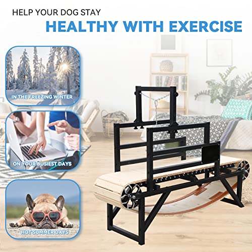 BowWowTread Dog Treadmill for Large/Medium Dogs, Dog Running Machine Exercise Equipment for Large Dogs - Thumbnail 3