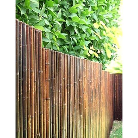 DE-COmmerce Robuster Bambus Holz Sicht Schutz Zaun ATY NIGRA I hochwertiger Windschutz Terrasse, Balkon, Garten I Bambusrohr Zaun mit geschlossenen Rohren (HxB) 150 cm x 180 cm Cover