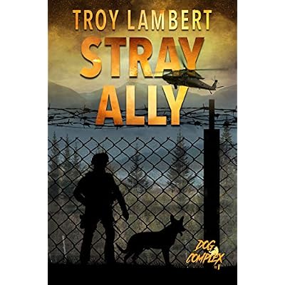 Stray Ally