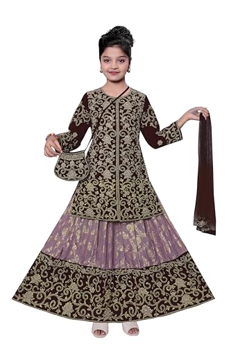 Kids Indian Girls Ethnic Kurta Lehenga Choli Dress Set with Sling, Velvet Fabric, Zari and Embroidery Work