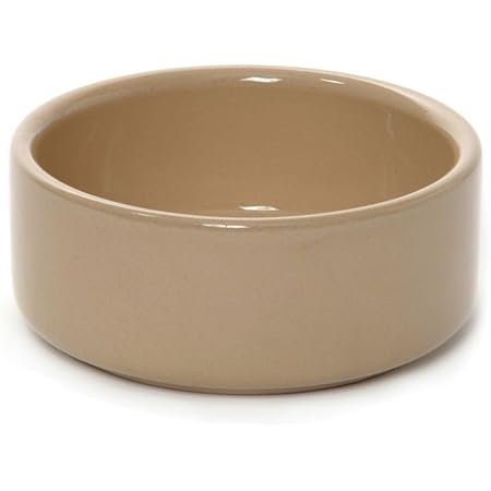 plain ceramic dog bowls
