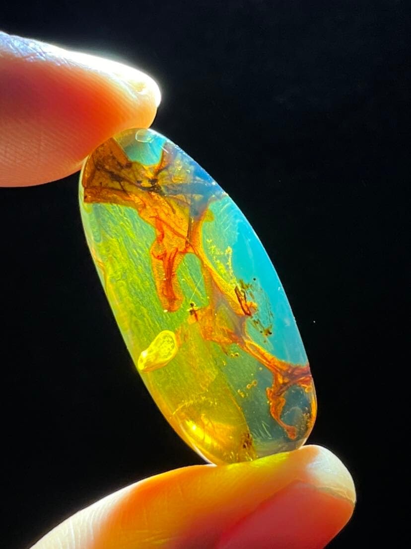 Rare Burmese burmite Cretaceous Beautiful Leaf Plant Fossil Amber Myanmar