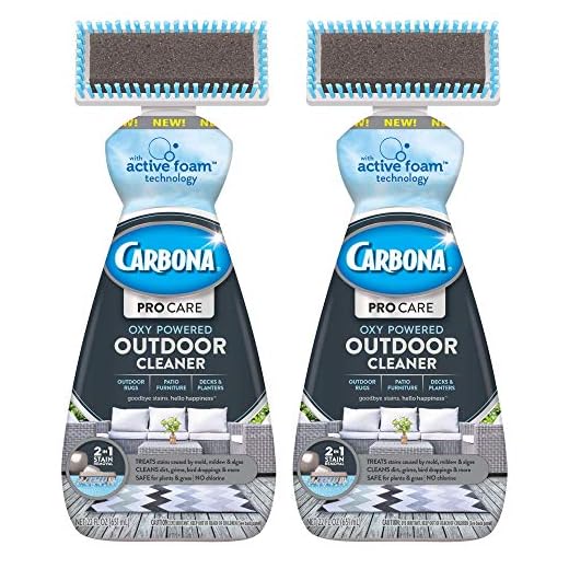 Carbona Pro Care Oxy Powered Outdoor Cleaner with Active Foam Technology | 22 Fl Oz, 2 Pack