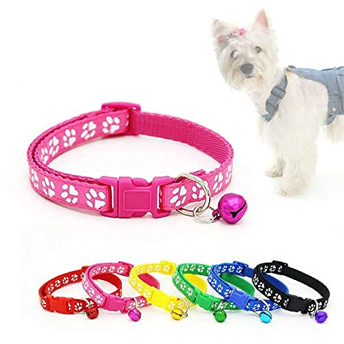 See full amazon price history chart for Dog Trust Adjustable Nylon Cat Safety Collar with Bell for Cat Kitten Small Dog (Pack of 2) Color May Vary Dog Trust Adjustable Nylon Cat Safety Collar with Bell for Cat Kitten Small Dog (Pack of 2) Color May Vary (B09C4LLMX3) Amazon Price History, Amazon Price Tracker