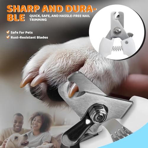 Cortauñas perro - Cortauñas gato - Con Protector de Seguridad - con 1 Lima de Uñas para Gatos - Acero Inoxidable - Apto también para uso profesional - imagen 2