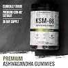 Jacked Factory Ashwagandha Gummies - KSM 66 Ashwagandha Gummies (600mg Per Serving) - Enhance Cognitive Function, Boost Mood, and Promote Hormonal Balance - 120 Gummies, Cherry Splash