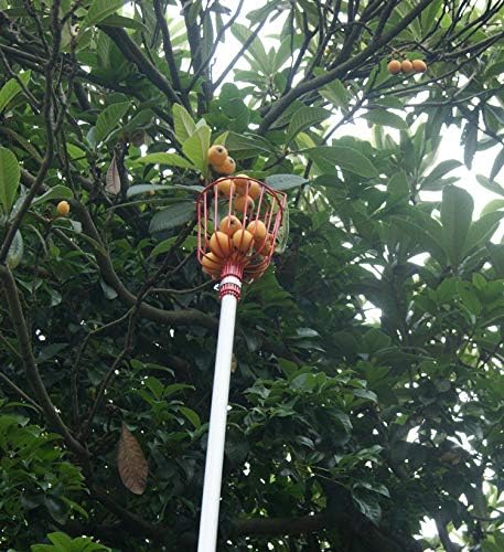 Miniatura 8 de Cesta cosechadora de frutas, herramienta ajustable para recoger frutas con cojín para evitar moretones, herramienta profesional para recoger frutas