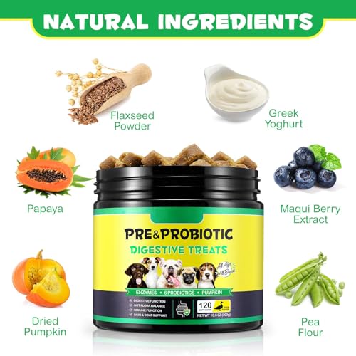 Probiotics for Dogs – 120 Soft Chews with Prebiotics | Supports Normal Gut Flora, Digestive Function, Immune Health & Skin Condition | Suitable for All Breeds - Image 2