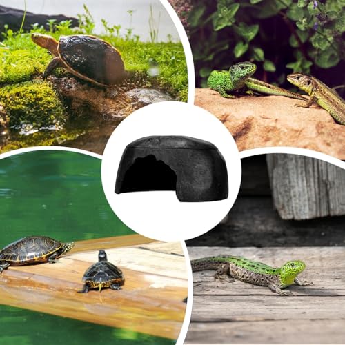 Lagartixa coucada, lagartana esconde | Abrigo de sapos - Pequeno lagarto Hideaway Humidify Habitat D