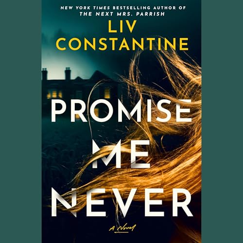 Promise Me Never cover art