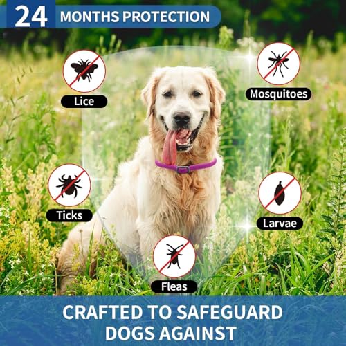 BKEPDY Hundehalsband 2 Stück Effektiver Schutz vor Ungeziefern Wasserdicht Einstellbares Floh und Zeckenschutz für Hunde Alle Größen und Rassen (Rosa)