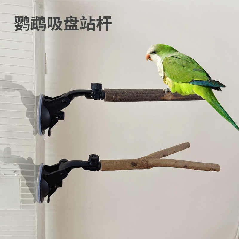 2 PCS Parrot Perch Stand with Suction Cup for Small Birds