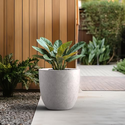 Image of Kante Large Round Bowl CON Gray Concrete Planter 18 inch Dia, Outdoor