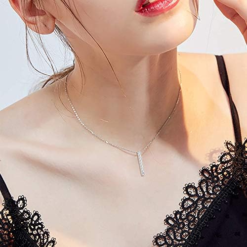 Sllaiss 2 pcs Cremation Jewelry Crystals from Austrian Stainless Steel Rosegold Silver Tone Bar Urn Pendant Memorial Ashes Keepsake Exquisite Necklace