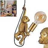 Lámpara colgante Suardi, sin bombilla