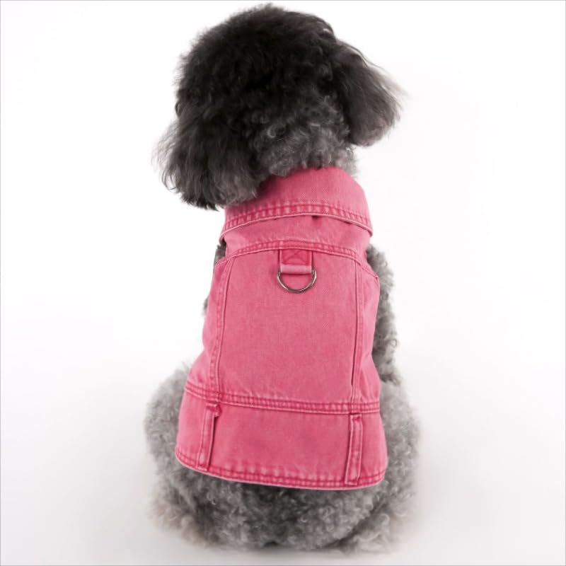Veste en jean rose pour chien : fini les frissons du printemps