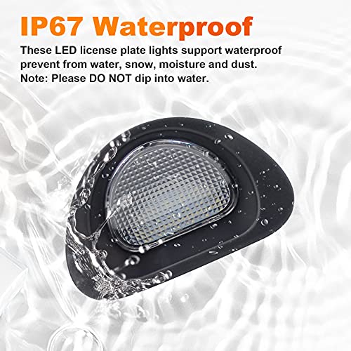 D-Lampadine per luci targa a LED Luci targa