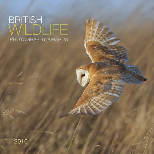 British Wildlife Photography Awards 2016 Calendar : Various: Amazon.es ...