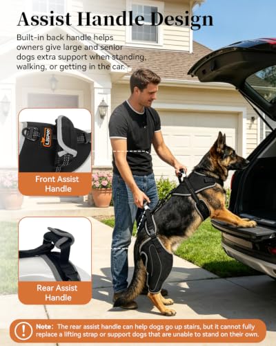 Image of Adjustable Support Dog ACL Brace Hind Leg,Both Leg-Upgraded-Custom