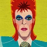Product Name: Appletons Wool Needlepoint Kit – Portraits Range David Bowie Designer: Emily Peacock Finished Size: 30 cm x 34 cm Canvas count size: 12 ct. Kit Contents: Printed canvas, detailed instructions, high quality appletons wool threads, and a ...