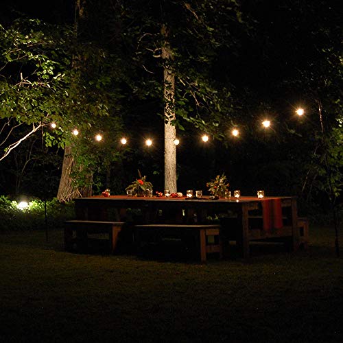 Lumabase Electric Café String Lights With 10 Bronze Metal Shades #TOP5