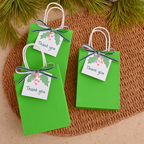 Image of SUNCOLOR 24-Pack Green Gift Bags with Handles, 8 inch Kraft Paper Party Favor Bags for Christmas St Patrick Day Birthday Easter