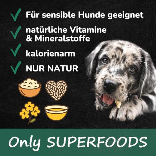 QCHEFS Snackbox Zahnputzflocken Leckerli Hund gegen Zahnstein Zahnreinigung