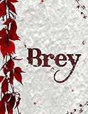  Brey (English Edition)