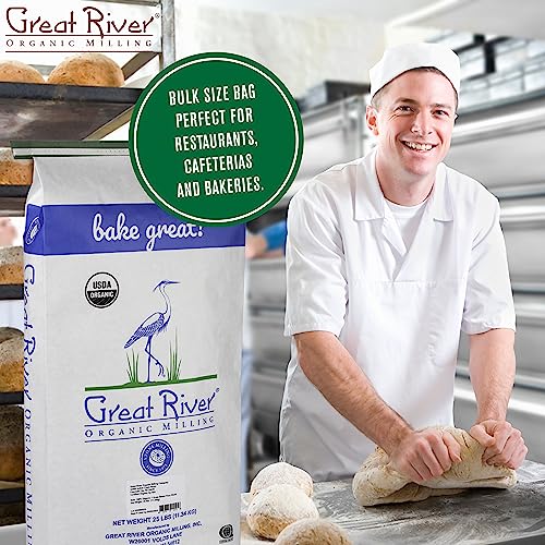 Great River Organic Milling Organic Whole Wheat Bread Flour | Artisan Bread Flour for Baking | All Purpose Wheat, Unbleached, Unbromated, Non-GMO, Kosher | 25 Lb (Pack Of 1)