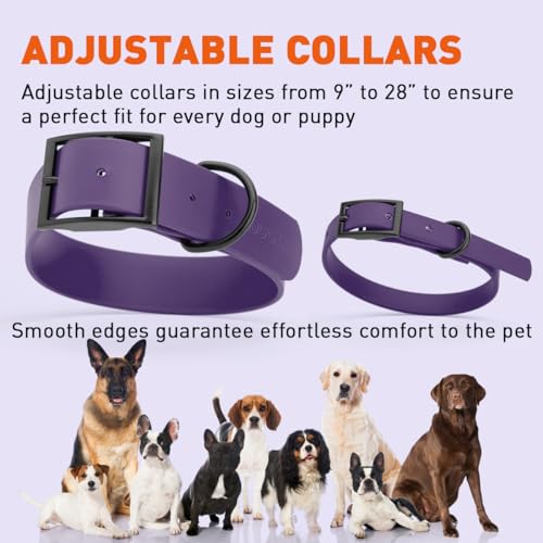 Image of Dogline Biothane Waterproof Dog Collar Strong Coated Nylon Webbing with Black Hardware Odor- Proof for Easy Care Easy to Clean High Performance Fits Small Medium or Large Dogs, Violet Purple