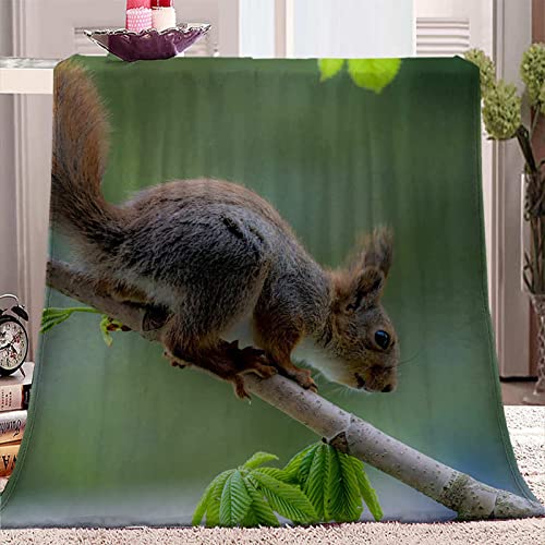 xczxc Manta de Franela Ardilla ramita 3D Impreso de Microfibra Franela Mantas, Suave niños Adultos sofá Cama Manta Polar 180x200cm Cover