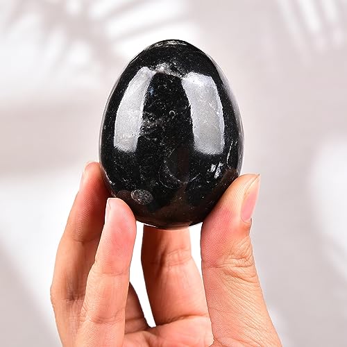 Image of AMOYSTONE Orthoceras Stone Egg Black with Natural Stone Base for Healing Reiki Home Decors Medium, Single Height 2.5-3 inch