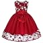 Red Embroider
