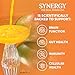 SYNERGY The Real Kombucha - Mystic Mango - 16 fl oz Bottle - Raw Probiotic Drink for Gut Health and Immune Support