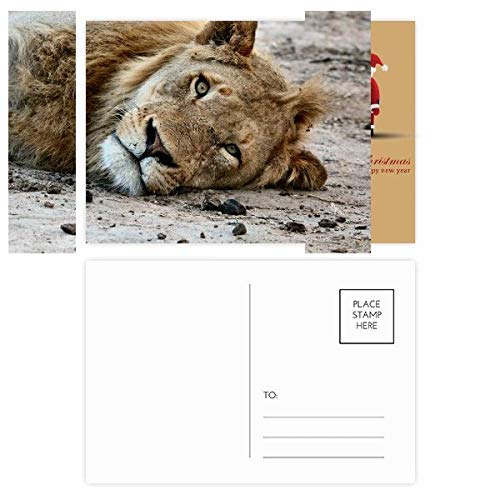 Cartes postales Terrestrial Organism le lot de 20 à offrir aux passionnés d'écriture