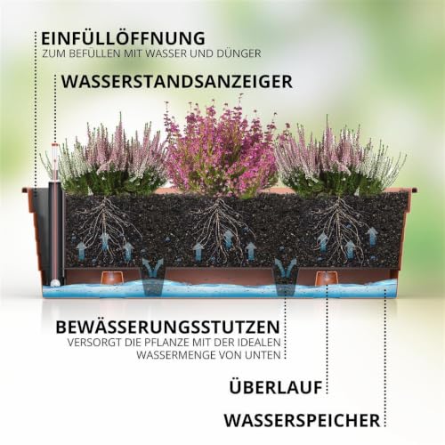 Plastard Blumenkasten 60 cm Terrakotta - Balkonkasten & Bewässerungssystem – Ansicht 3